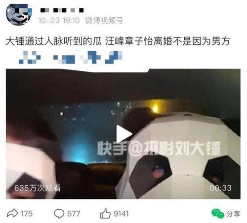 刘大锤最新爆料公众人物,公众人物背后的惊人真相